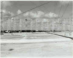 ElephantCage0005-vi.jpg (57743 bytes)