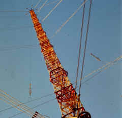 tk-holt-21.JPG (273524 bytes)